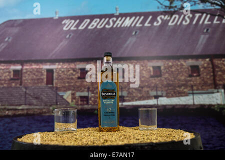 12 anno Old Bushmills single malt distilleria di whiskey di riserva. Foto Stock