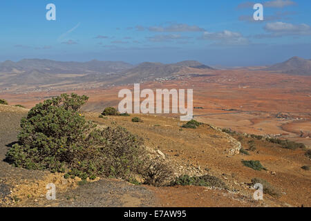 Vista a nord da EL Mirador Morro Velosa vicino alla Città di Betancuria. Punti panoramici, Fuerteventura, Isole Canarie, Spagna, l Foto Stock