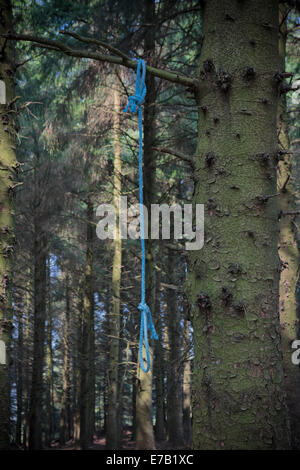 Cappio appeso in albero hangman morte suicidio corda uccidere l'omicidio lynched Foto Stock