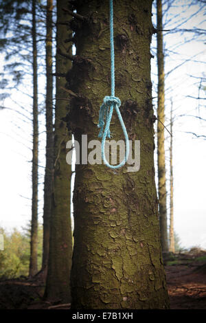 Cappio appeso in albero hangman morte suicidio corda uccidere l'omicidio lynched Foto Stock