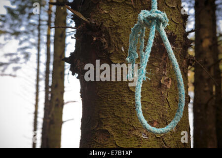 Cappio appeso in albero hangman morte suicidio corda uccidere l'omicidio lynched Foto Stock