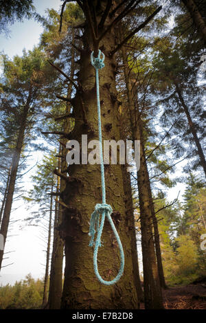 Cappio appeso in albero hangman morte suicidio corda uccidere l'omicidio lynched Foto Stock