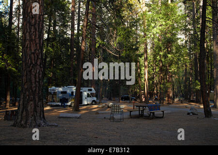 Pini superiore campeggio, Yosemite Valley, Yosemite National Park, California, Stati Uniti d'America Foto Stock