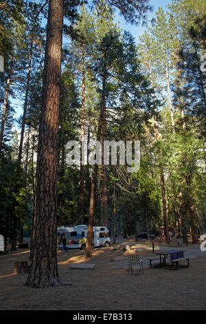 Pini superiore campeggio, Yosemite Valley, Yosemite National Park, California, Stati Uniti d'America Foto Stock