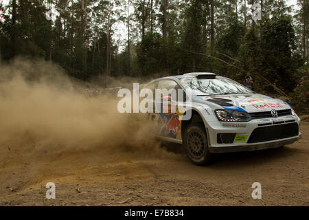 Coffs Harbour, Australia, venerdì 12 settembre, 2014. Jari-Matti Latvala sterza con la sua Volkswagen Motorsport World Rally Car attraverso speciale allo stadio 6 del Rally Australia. Latvala ha terminato la prima sei stadi secondo sul tempo complessivo di fogli. Credito: Russell Hunter/Alamy Live News Foto Stock