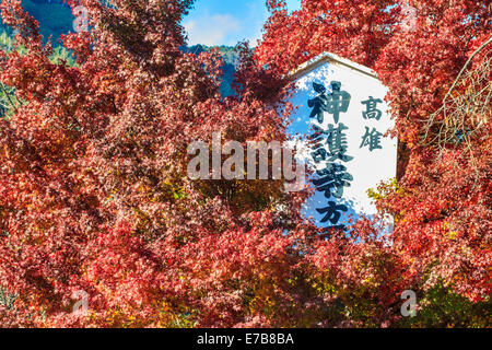 Kyoto, Jpana - Novembre 20, 2013: rosse foglie di acero in autunno per adv o altri usi Foto Stock