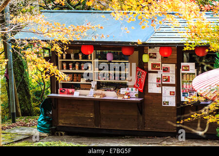 Kyoto, Jpana - Novembre 20, 2013: rosse foglie di acero in autunno per adv o altri usi Foto Stock