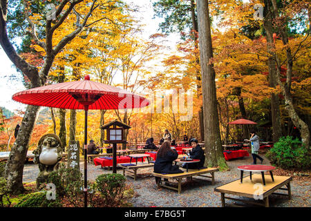 Kyoto, Jpana - Novembre 20, 2013: rosse foglie di acero in autunno per adv o altri usi Foto Stock