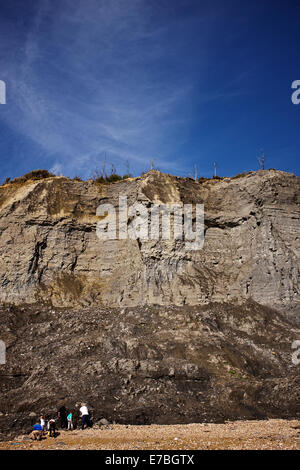 Falesie fossili, Jurassic Coast, Charmouth, Lyme Bay, il West Dorset, Inghilterra, Regno Unito. Foto Stock