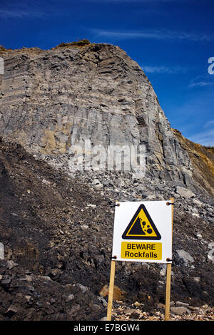 Frana, Jurassic Coast, Charmouth, Lyme Bay, il West Dorset, Inghilterra, Regno Unito. Foto Stock