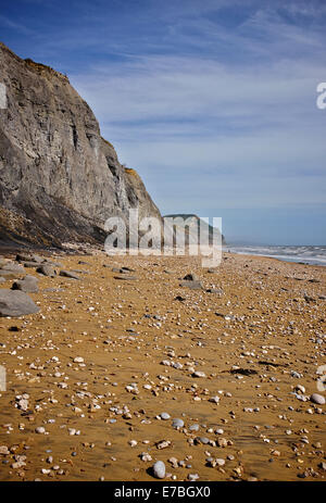 Jurassic Coast, Charmouth, Lyme Bay, il West Dorset, Inghilterra, Regno Unito. Foto Stock