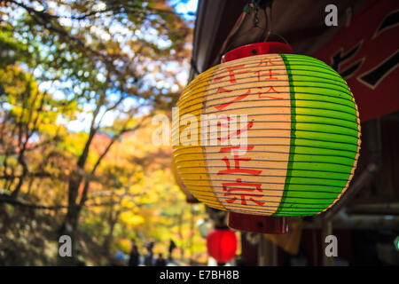 Kyoto, Jpana - Novembre 20, 2013: rosse foglie di acero in autunno per adv o altri usi Foto Stock