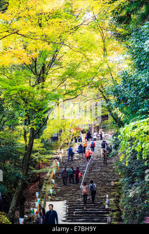 Kyoto, Jpana - Novembre 20, 2013: rosse foglie di acero in autunno per adv o altri usi Foto Stock