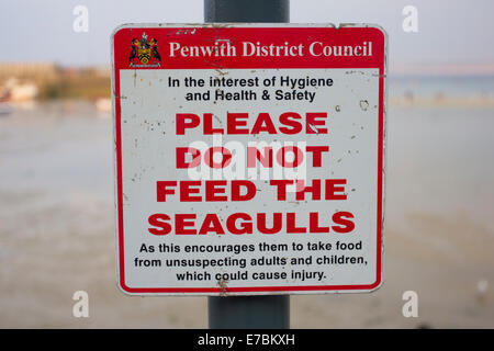 Un segno avverte circa l alimentazione dei gabbiani in St Ives, Cornwall, Regno Unito Foto Stock