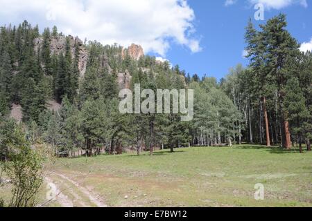 Vecchia strada girato trail in montagna vicino a sette molle Fish Hatchery Foto Stock