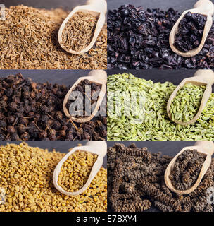 Raccolta di diverse spezie Foto Stock