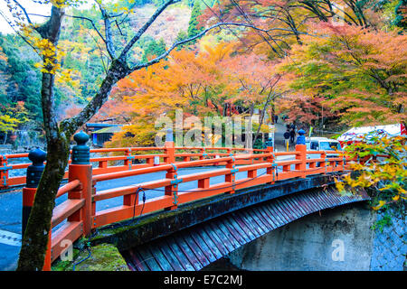 Rosse foglie di acero in autunno per adv o altri usi Foto Stock