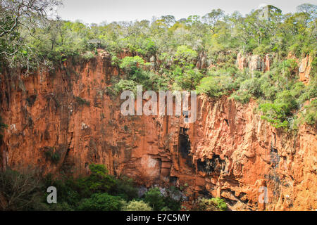 Flying scarlet macaws - scarlet macaws tenuto all'aria, essi vivono in un gigantesco foro dissipatore di conservare le uova al sicuro dai predatori Foto Stock