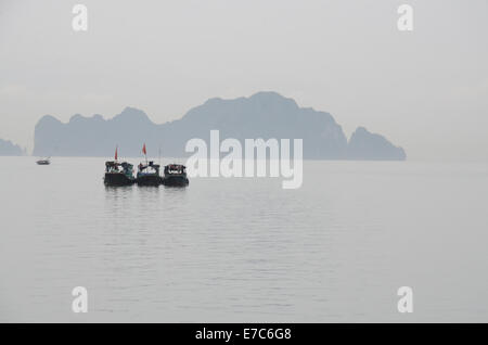 Un giorno di nebbia a Halong Bay, Vietnam Foto Stock