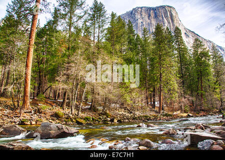 El Capitan torri sopra il piano della valle. Vista dal fiume Merced, del Parco Nazionale Yosemite in California. Stati Uniti d'America Foto Stock