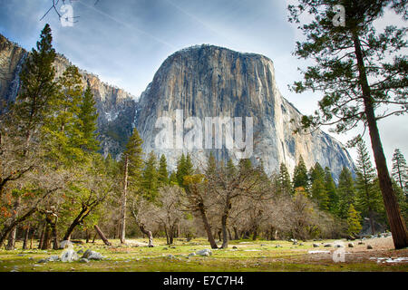El Capitan torri sopra il piano della valle. Parco Nazionale di Yosemite in California. Stati Uniti d'America Foto Stock
