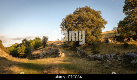 La testa di Lathkill dale nel Peak District Foto Stock