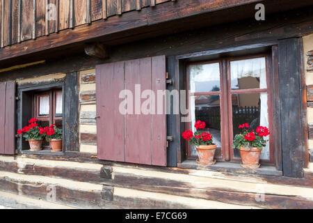 Pelargonio in pentole su casa rurale soglia finestra Boemia centrale, villaggio rurale casa Repubblica Ceca Foto Stock