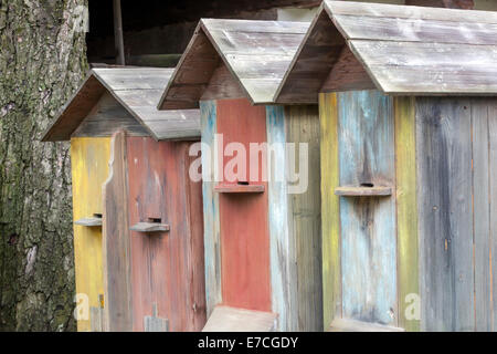 Antichi alveari apiari, alveari colorati, alveari rurali in legno, dipinti Foto Stock