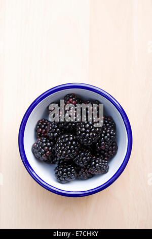 Rubus fructicosus. Appena raccolto more in un recipiente di smalto. Foto Stock