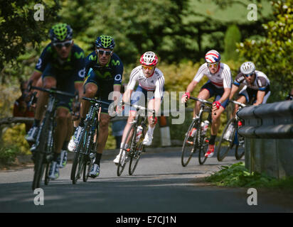 Horsham, West Sussex, Regno Unito. Il 13 settembre 2014. Un gruppo di ciclisti in competizione in tour della Gran Bretagna 2014 durante la fase sette (Camberley a Brighton) prese vicino a Horsham West Sussex. Credito: Christopher Mills/Alamy Live News Foto Stock