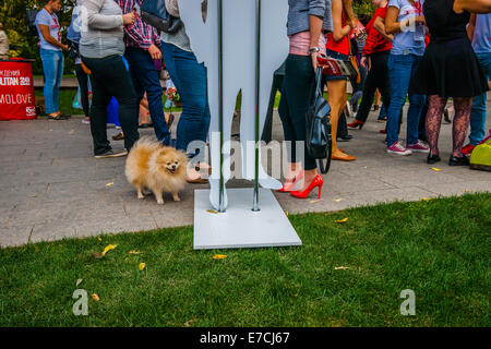 Mosca, Russia. Il 13 settembre 2014. Cosmopolitan la ben nota rivista femminile per la moda, bellezza, di relazioni e di stile di vita celebra 20 anni di presenza a Mosca nel parco Museon di arti. Le donne sono state incoraggiate a essere in rosso. Persone che hanno piacere e divertimento all'aria aperta. Gambe? Credito: Alex Immagini/Alamy Live News Foto Stock