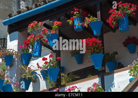 Cortile tipico -fioriere, Cordoba, regione dell'Andalusia, Spagna, Europa Foto Stock