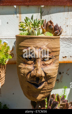 Un creative pentola di creta con cactus è appeso a una recinzione presso un negozio Giardino a Los Olivos California Foto Stock