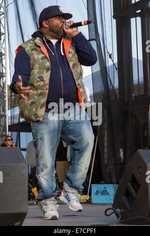 Chicago, Illinois, Stati Uniti d'America. Xiii Sep, 2014. Il rapper COREY WOODS (aka RAEKWON) della fascia Wu-Tang Clan esegue live at 2014 Riot Fest festival di musica alla Humboldt Park di Chicago, Illinois © Daniel DeSlover/ZUMA filo/Alamy Live News Foto Stock