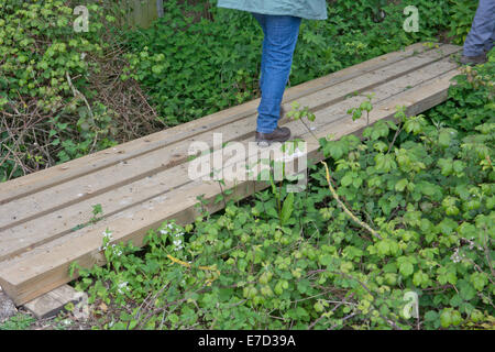 Gli scuotipaglia utilizzando un ponte fatto di assi di legno attraverso un fosso Foto Stock