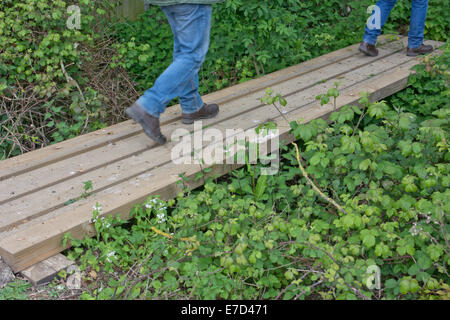 Gli scuotipaglia utilizzando un ponte fatto di assi di legno attraverso un fosso Foto Stock