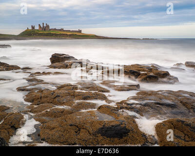 Incredibilmente aspra costa di Isola Santa in Northumberland è protetto da Lindisfarne Castle Foto Stock