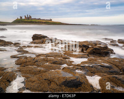 Incredibilmente aspra costa di Isola Santa in Northumberland è protetto da Lindisfarne Castle Foto Stock