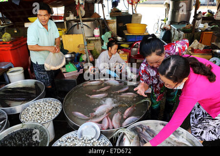 Un pesce in stallo al mercato locale il fiume Mekong in Sa Dec, Vietnam. Foto Stock
