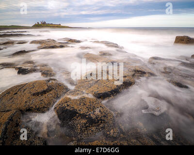 Incredibilmente aspra costa di Isola Santa in Northumberland è protetto da Lindisfarne Castle Foto Stock