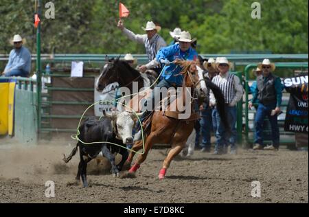 La Rowell Ranch Rodeo, Castro Valley CA Foto Stock