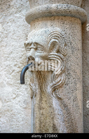 Acqua potabile fonte con il leone di pietra testa nel castello medievale Mautendorf in Austria Foto Stock