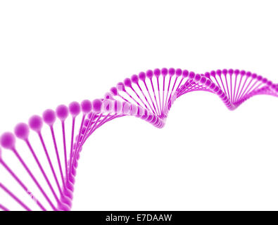 Il filamento di DNA isolato su sfondo bianco Foto Stock