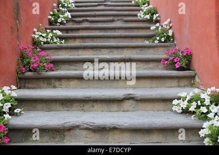 Fiori rossi e bianchi sulle vecchie scale di calcestruzzo Foto Stock