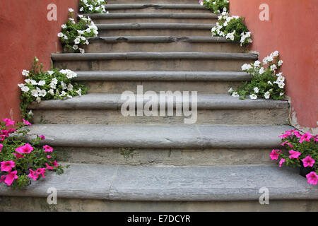 Fiori rossi e bianchi sulle vecchie scale di calcestruzzo Foto Stock