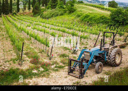 Vigne di campo e un trattore blu Foto Stock