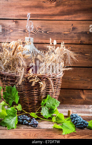 Demijohn pieno di vino rosso in cantina Foto Stock