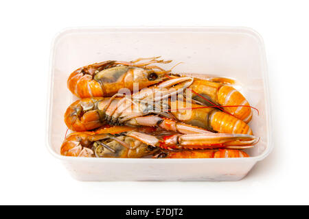 Langoustine (Nephrops norvegicus),la baia di Dublino gamberi o scampi isolato su un bianco di sfondo per studio. Foto Stock