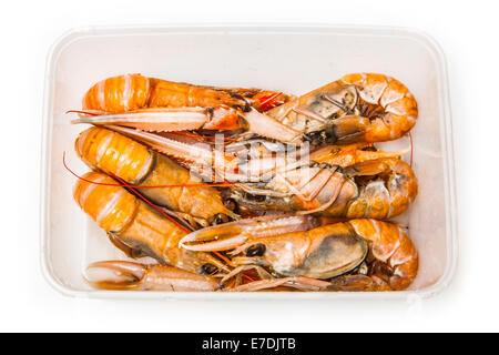 Langoustine (Nephrops norvegicus),la baia di Dublino gamberi o scampi isolato su un bianco di sfondo per studio. Foto Stock