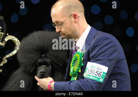 Il Crufts tenuto presso il National Exhibition Centre (NEC) - Giorno 4 - Jason Lynn con Ricky il barboncino standard, come essi celebrare vincendo il Best in Show categoria dotata di: Jason Lynn dove: Birmingham, Regno Unito quando: 09 Mar 2014 Foto Stock